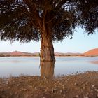 Namib Desert flood