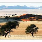 Namib desert I