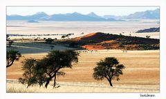 Namib desert I