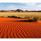 Namib desert II