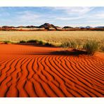 Namib desert II