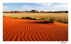 Namib desert II