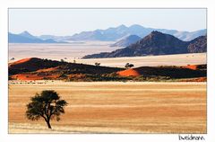 Namib desert III