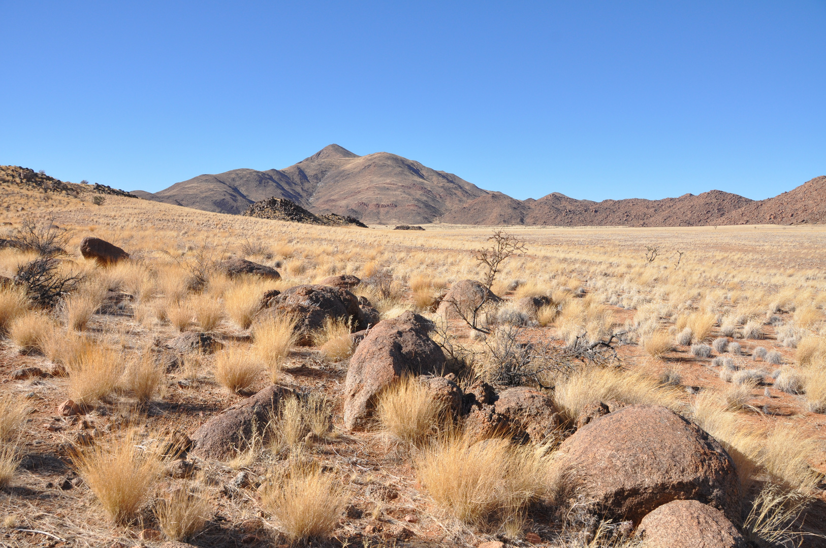 Namib Desert III