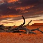 Namib Desert Sky