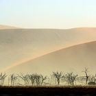 Namib Desert Storm