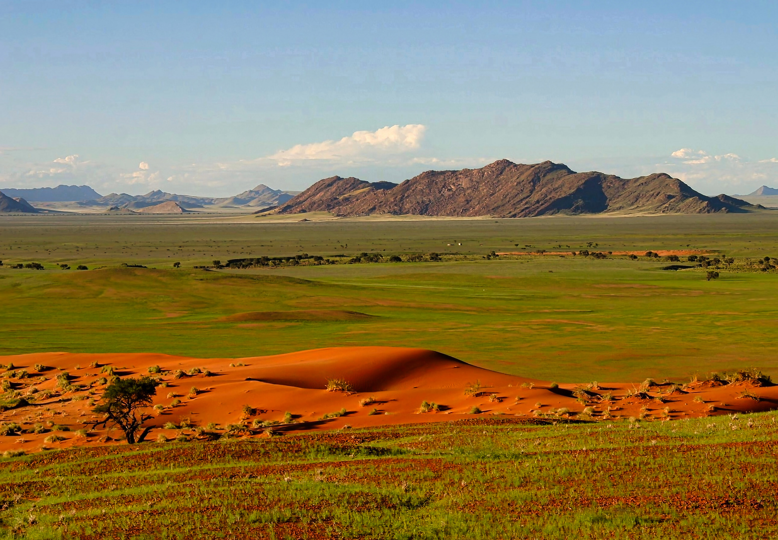 Namib Desert_2