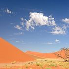 Namib-Düne