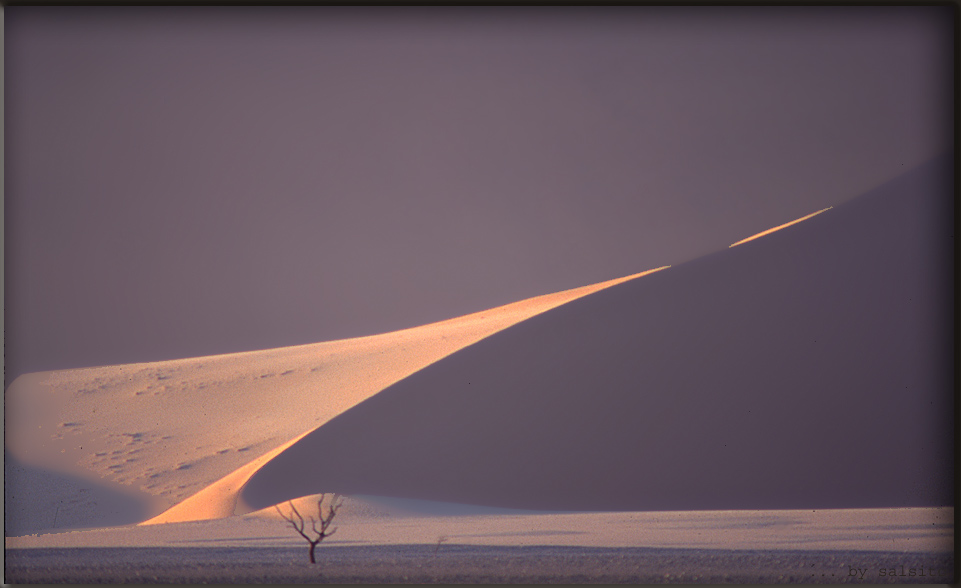 Namib - Düne am Morgen