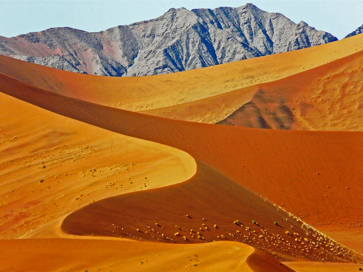Namib Düne