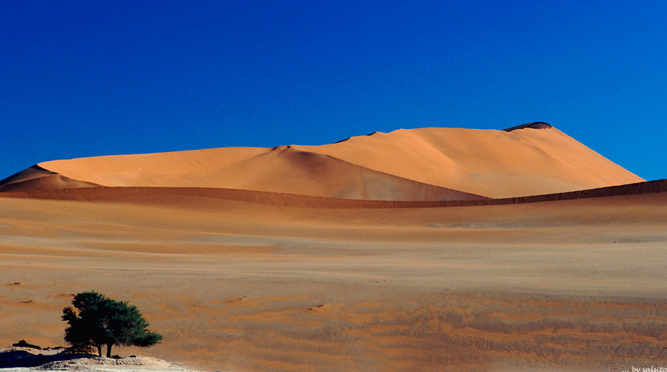 namib - dünen