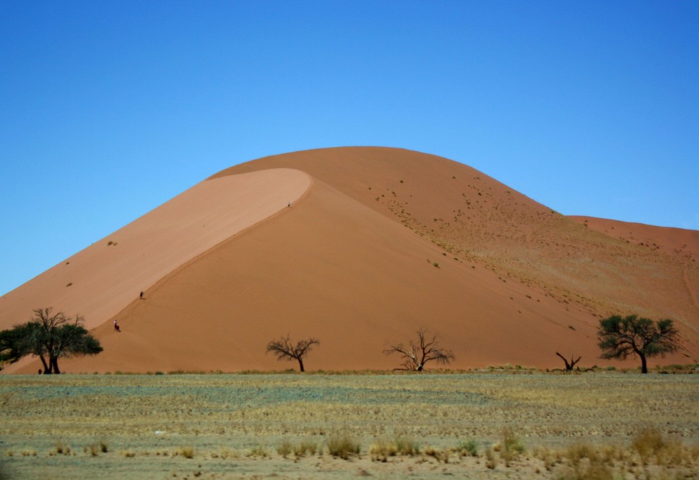 Namib dune