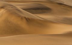 Namib dunes