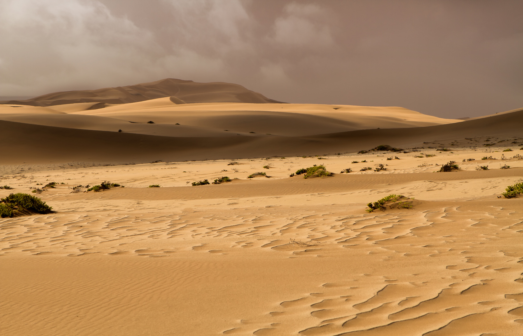 Namib Dunes