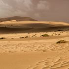 Namib Dunes