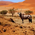 Namib