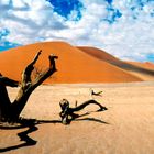 Namib