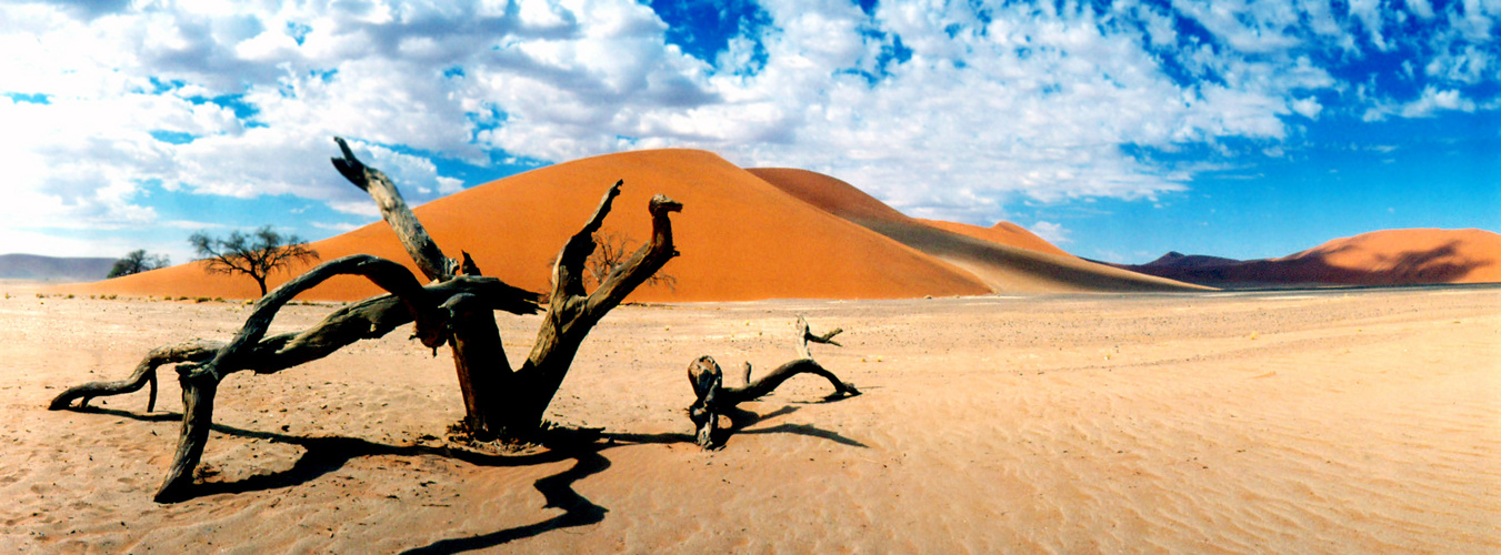 Namib