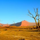 Namib