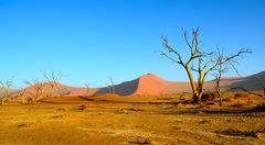 Namib