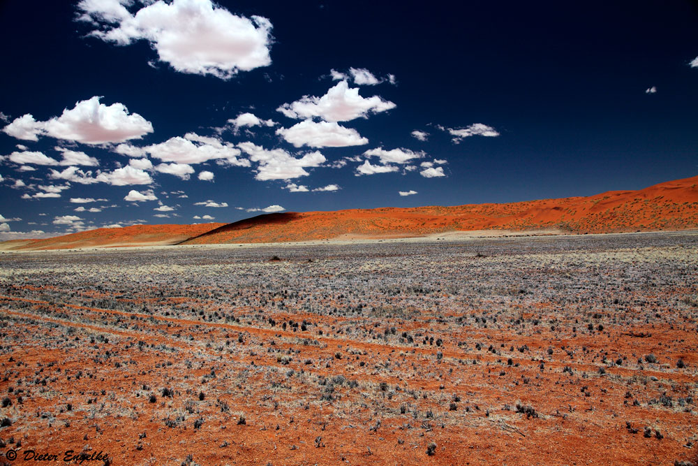 Namib...