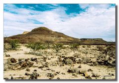 Namib mit Resten von Versteinerungen