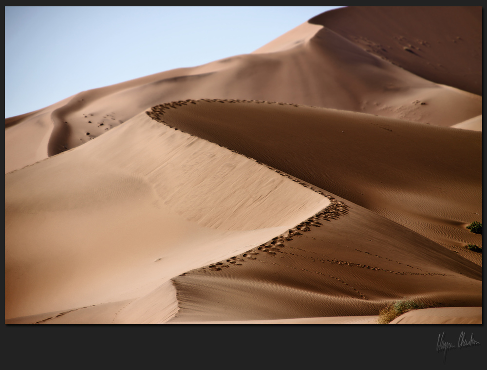 Namib Naukluft