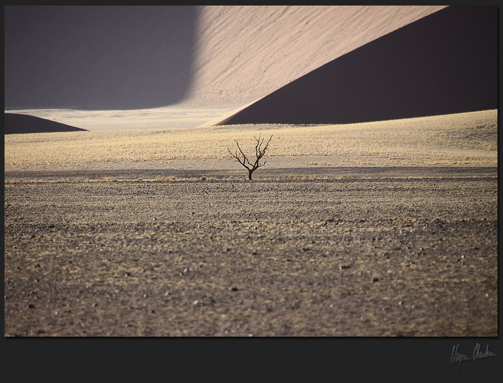 Namib-Naukluft National Park