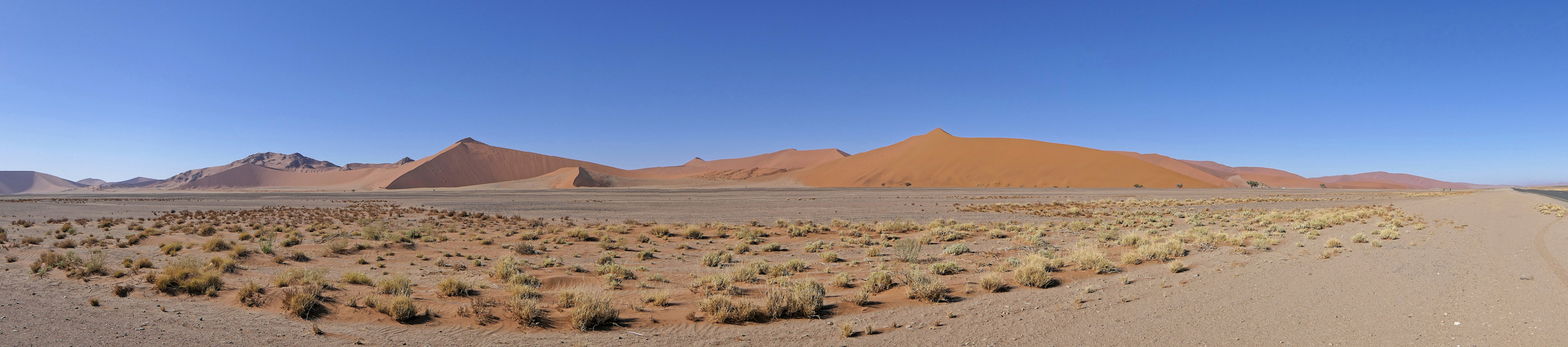 Namib Naukluft Nationalpark_2