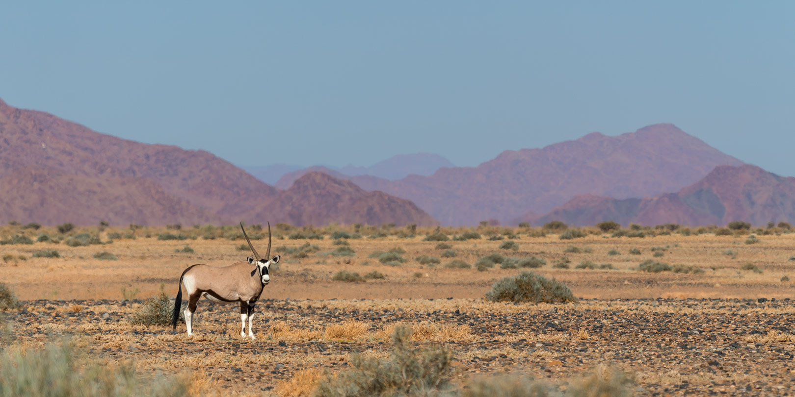 Namib-Naukluft-NP