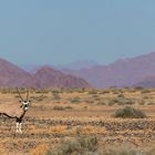 Namib-Naukluft-NP