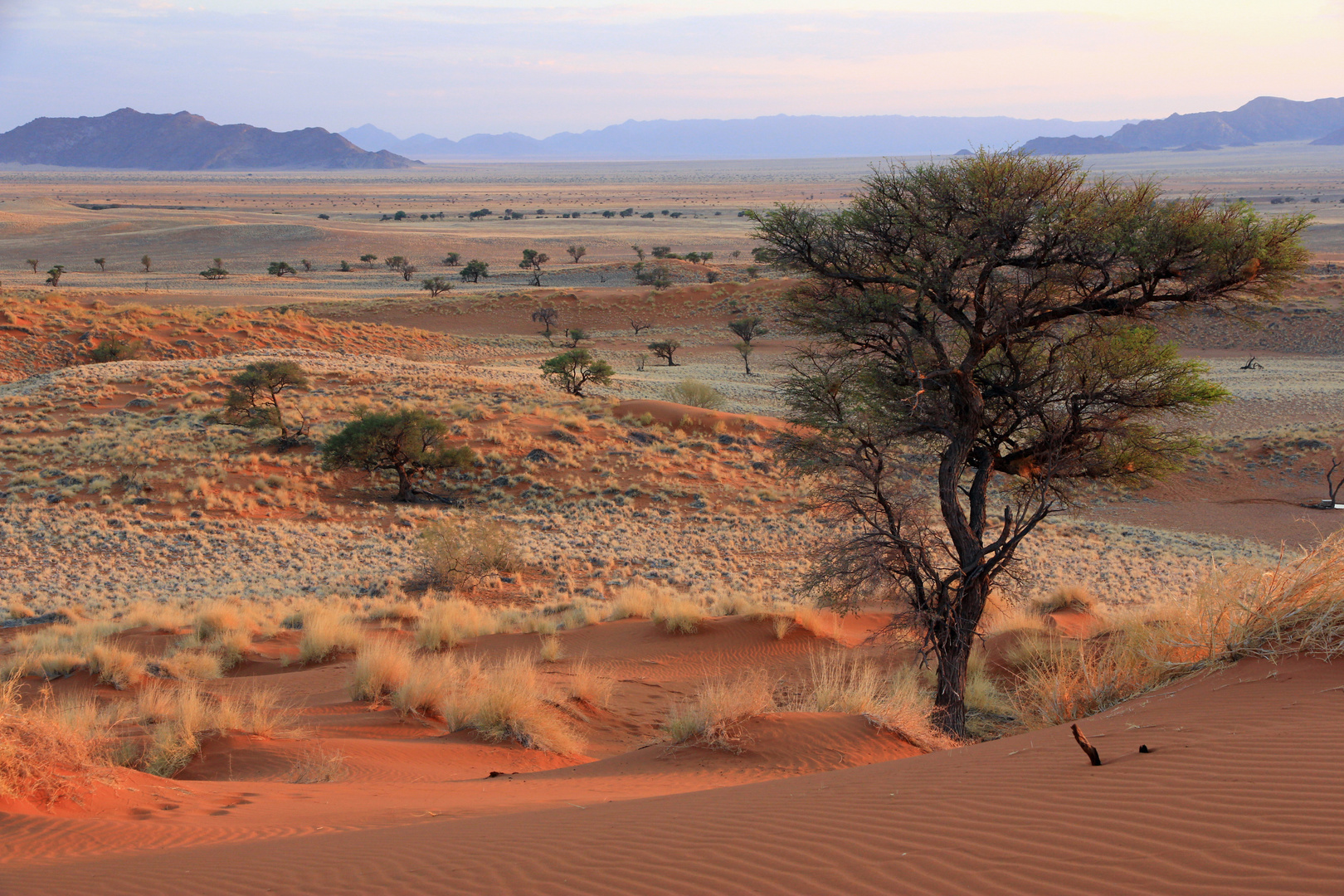 Namib Naukluft Park