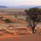 Namib Naukluft Park