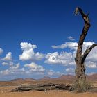 Namib Naukluft Park