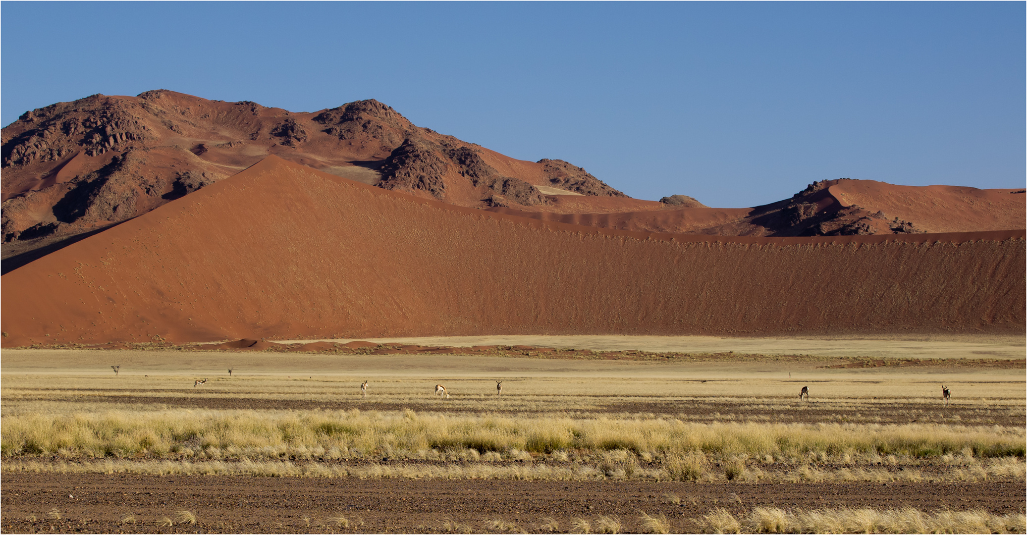 Namib Naukluft Park