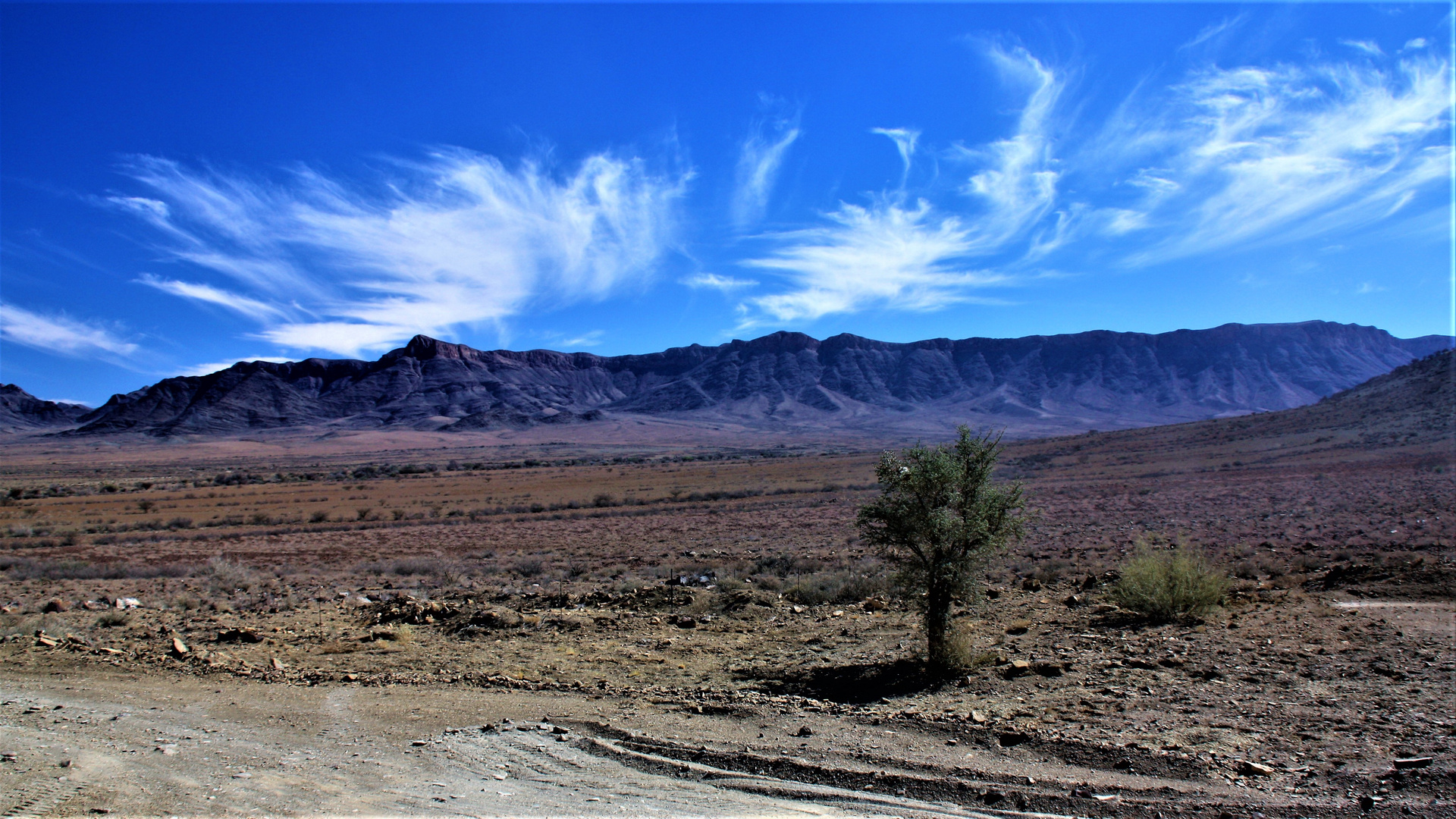 Namib Naukluft Park 2