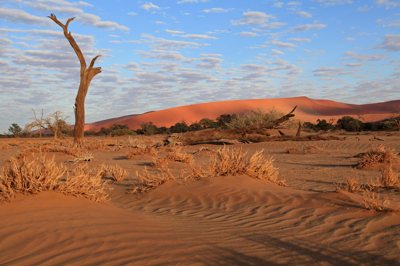 Namib Naukluft Park