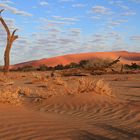 Namib Naukluft Park