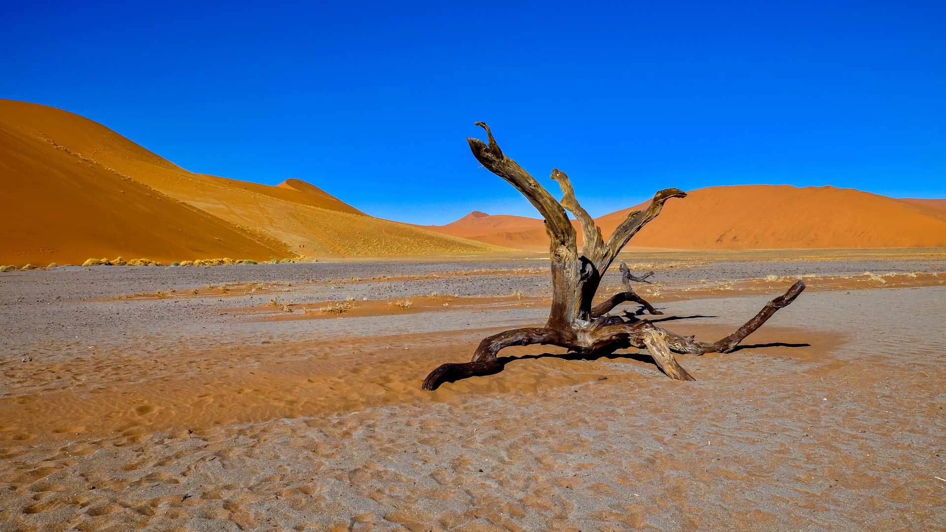 Namib-Naukluft-Park