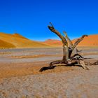 Namib-Naukluft-Park