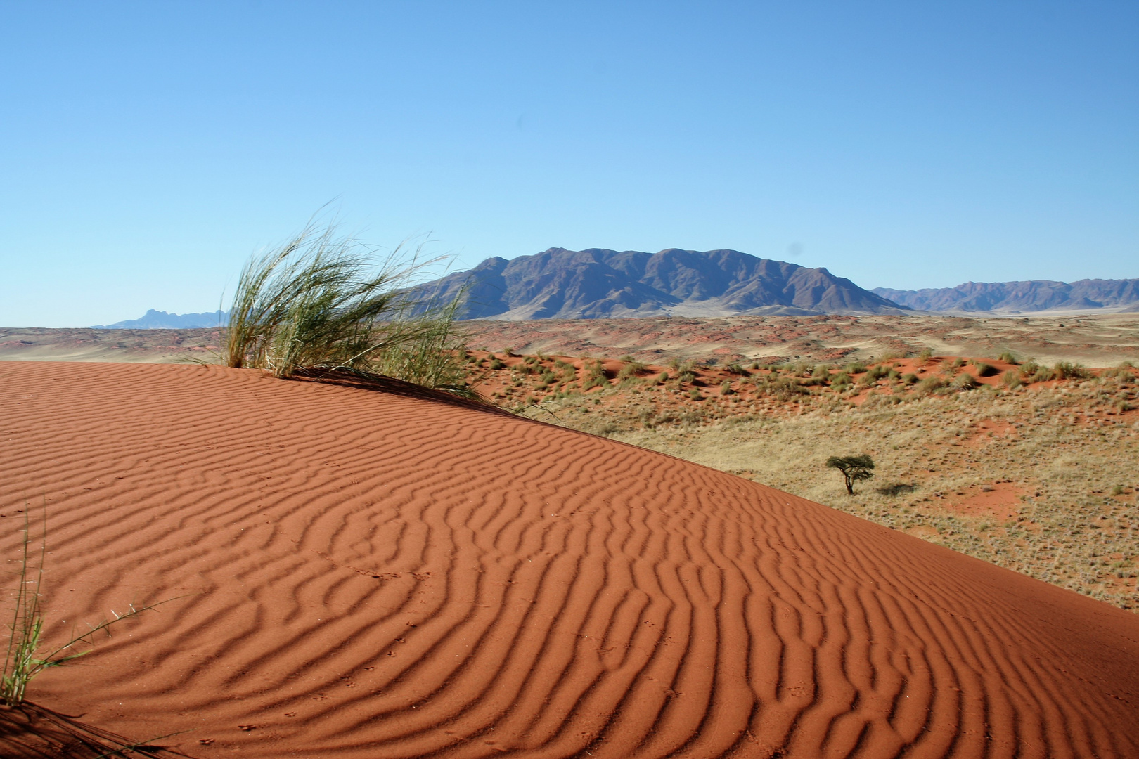 Namib-Naukluft Park