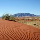 Namib-Naukluft Park