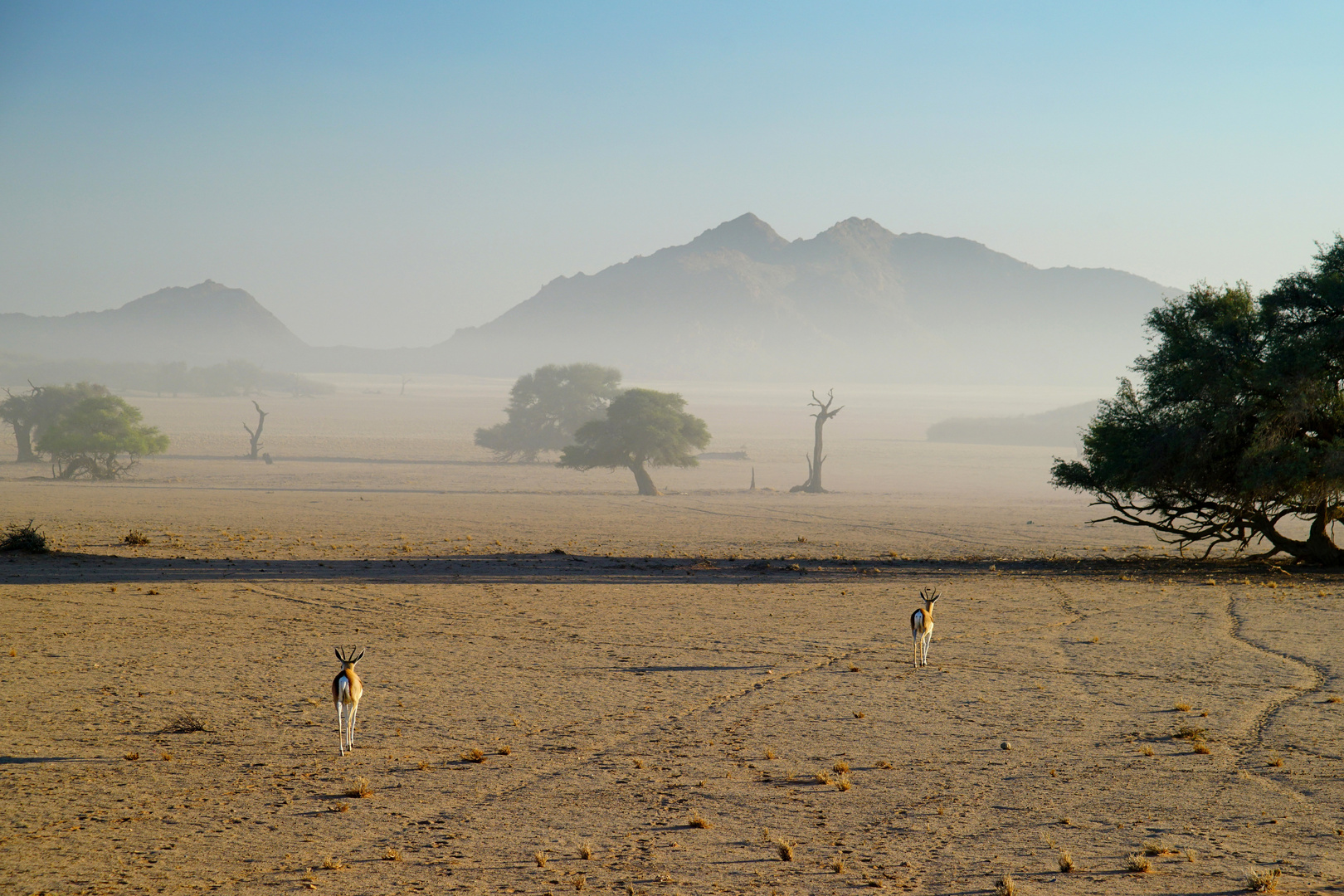 Namib Naukluft Park, Namibia