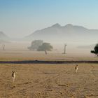 Namib Naukluft Park, Namibia