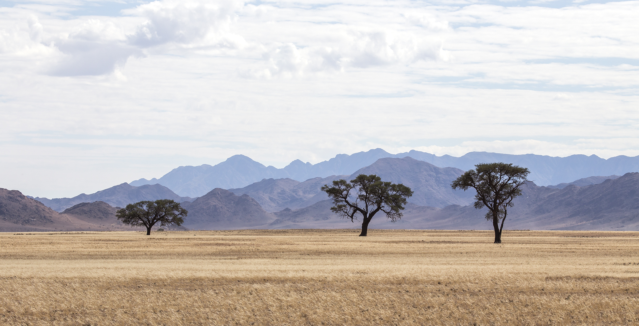 Namib Naukluft Park , Namibia (April 2017)