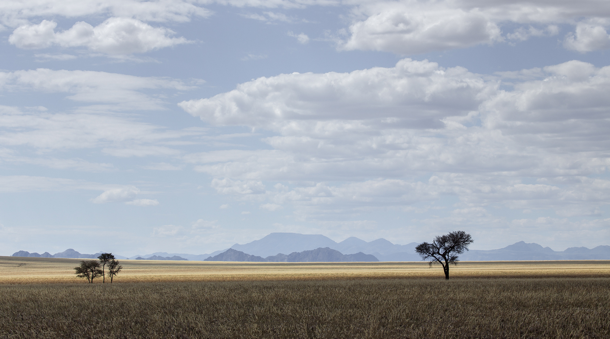 Namib Naukluft Park , Namibia (April 2017)