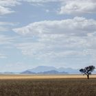 Namib Naukluft Park , Namibia (April 2017)