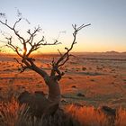 Namib Naukluft Sundowner 1