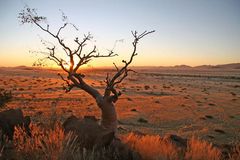 Namib Naukluft Sundowner 1