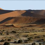Namib-Panorama